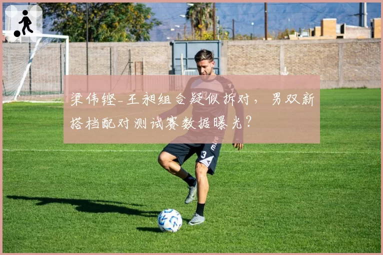 梁伟铿_王昶组合疑似拆对,男双新搭档配对测试赛数据曝光?