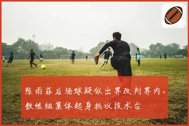 陈雨菲后场球疑似出界改判界内,教练组集体起身抗议技术台