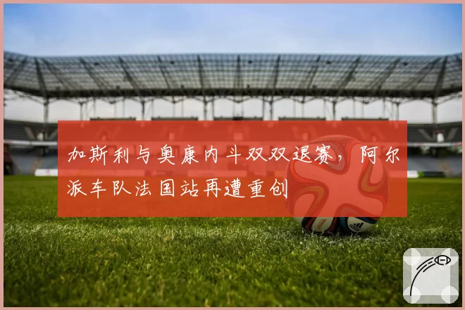 加斯利与奥康内斗双双退赛，阿尔派车队法国站再遭重创